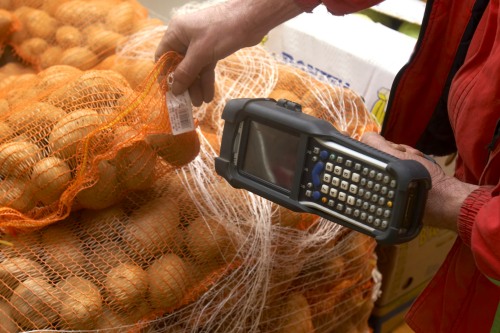 Man scanning barcode on a package of potatoes before loading them for transport